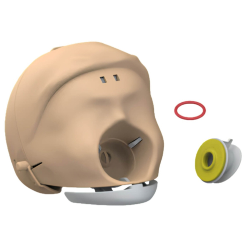 Laerdal Little Anne Cabeza completa con mandíbula (claro) 