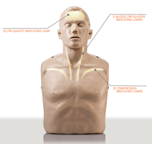 Brayden maniquí (Iluminación LED rojo) - 10432