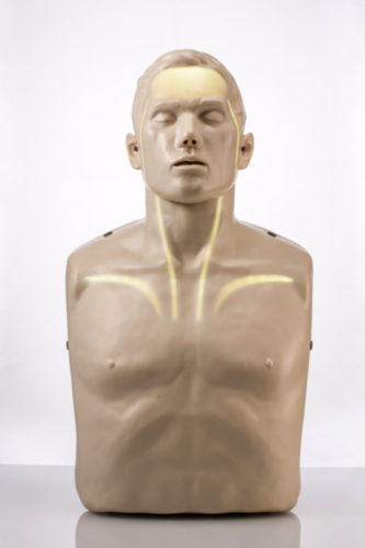 Brayden PRO CPR con Bluetooth App Support (Iluminación LED blanca) - 5450