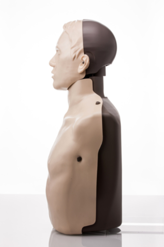 Brayden maniquí (Iluminación LED blanca) - 5376