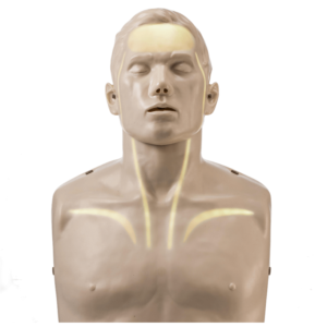 Brayden maniquí (Iluminación LED blanca)