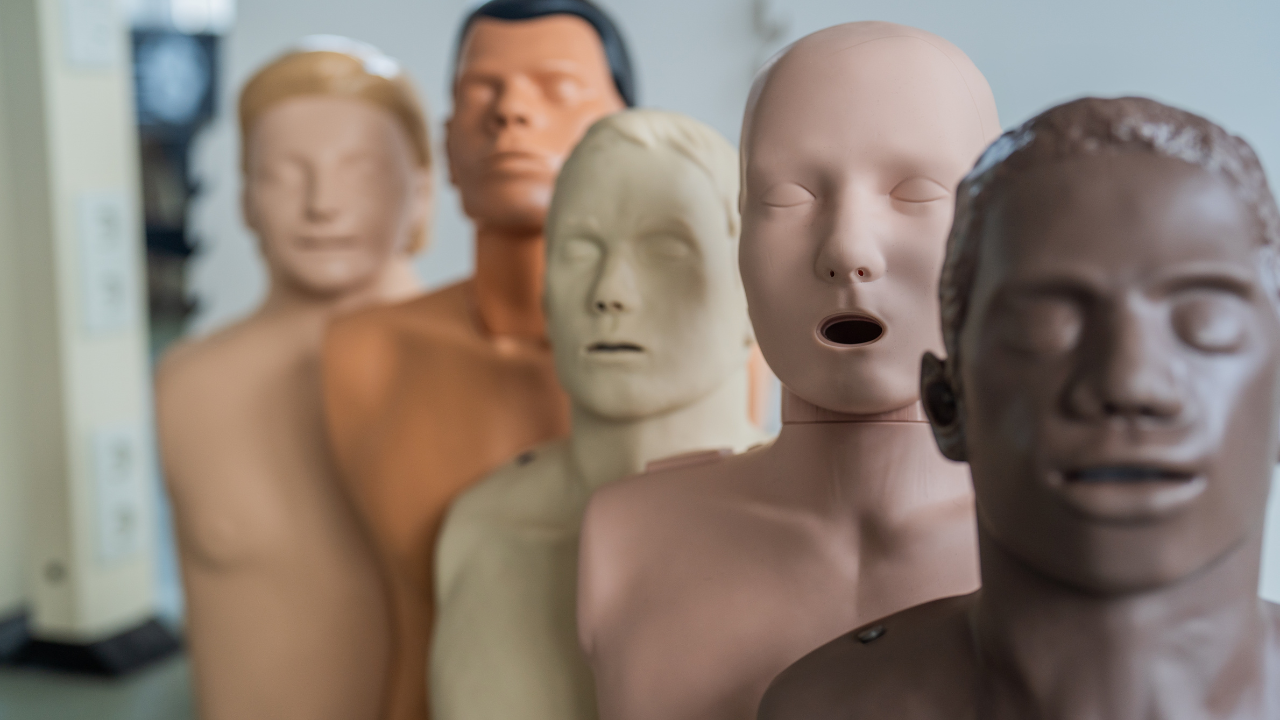 Entrenamiento inclusivo